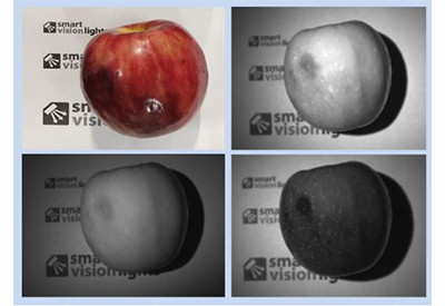 Camera, Lights, Action: New SWIR Cameras, Lights, and Controllers Make Cost-Effective Multispectral Imaging a Reality