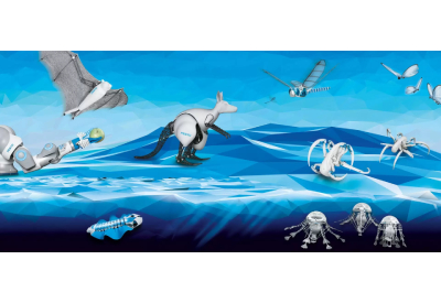 Festo’s Bionic Learning Network: New Impulses for Factory and Process Automation
