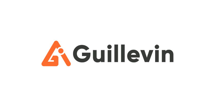 Guillevin Strategies and Solutions: Enhancing the Customer Experience With a Comprehensive Website